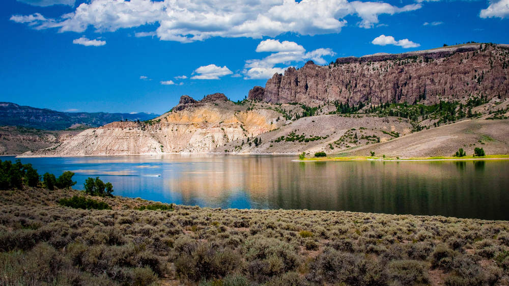 Gunnison Curecanti National Recreation Area Pet Friendly Travel