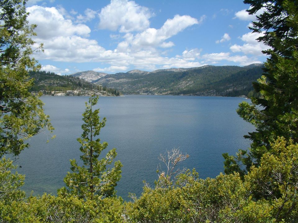 Placerville Eldorado National Forest Pet Friendly Travel
