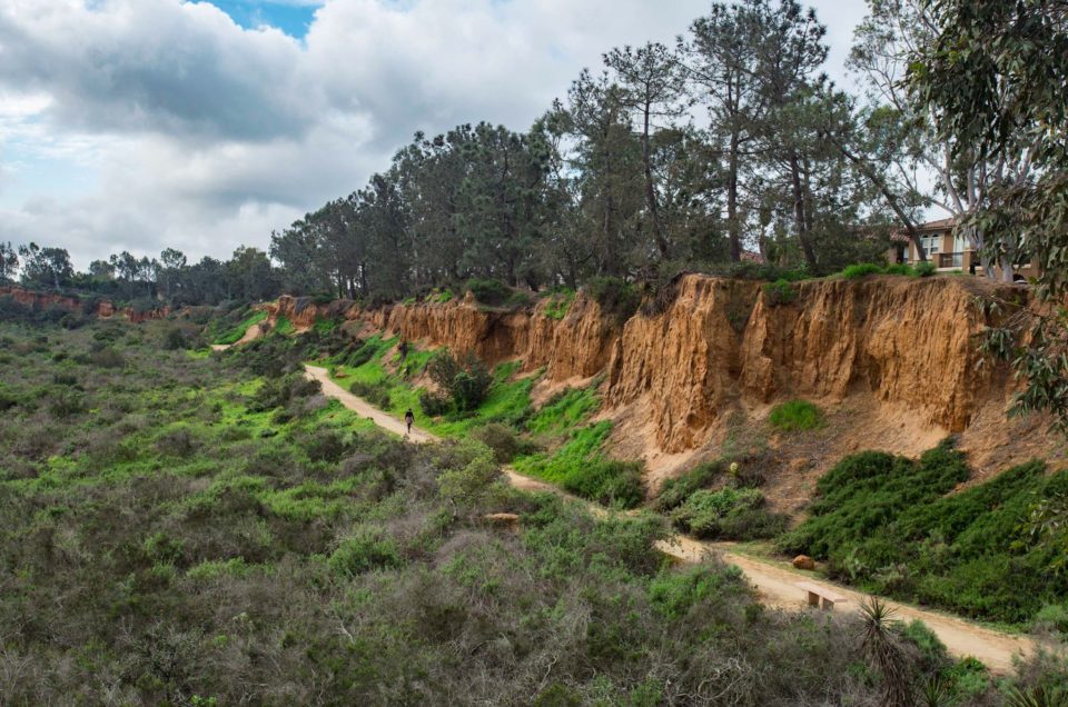 Encinitas City Parks Pet Friendly Travel