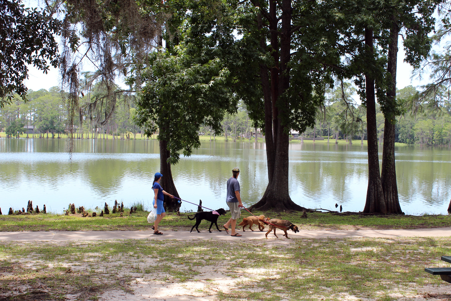 Gulf County Parks Pet Friendly Travel