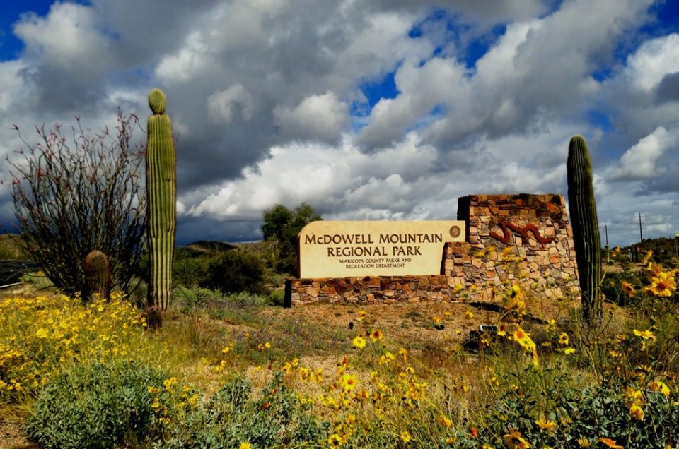 Maricopa County Parks Maricopa County, AZ Pet Friendly Travel