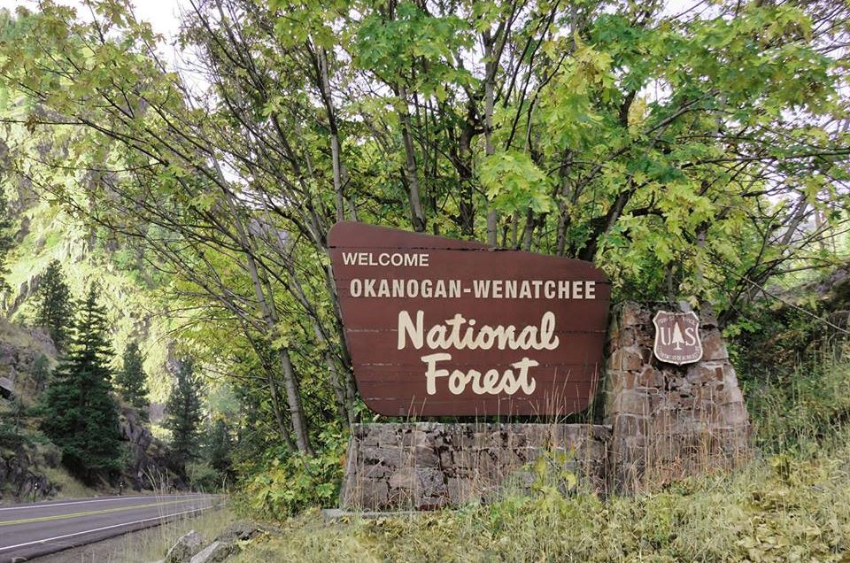 OkanoganWenatchee National Forest Pet Policy Pet Friendly Travel