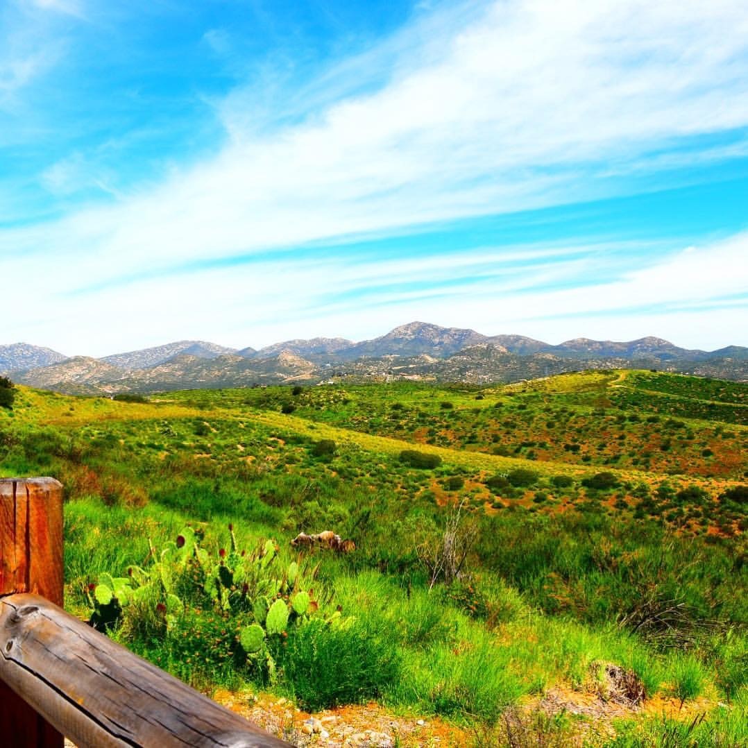 San Diego City Parks Pet Friendly Travel