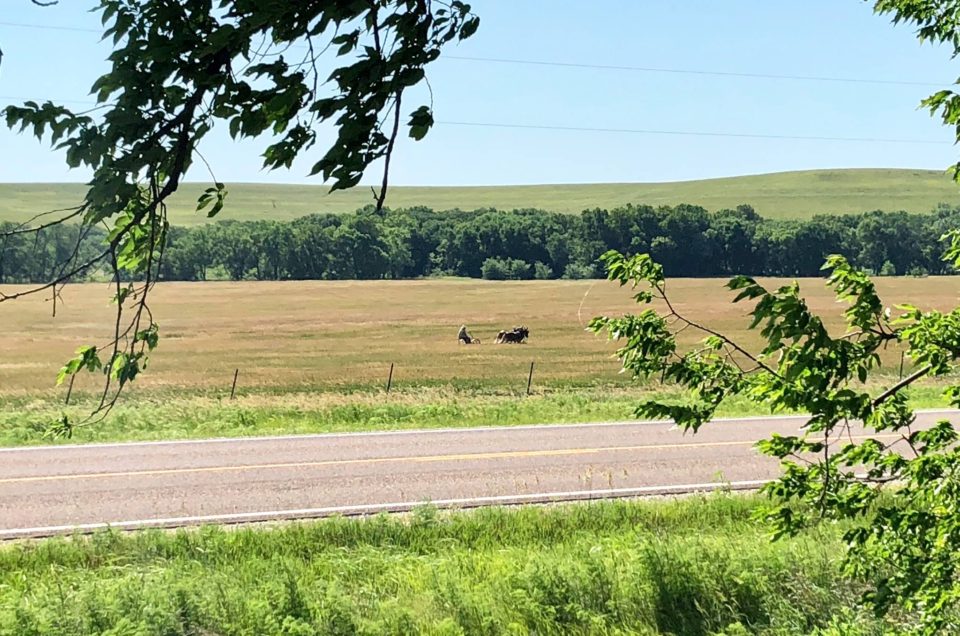 Tallgrass Prairie National Preserve Pet Policy Pet Friendly Travel