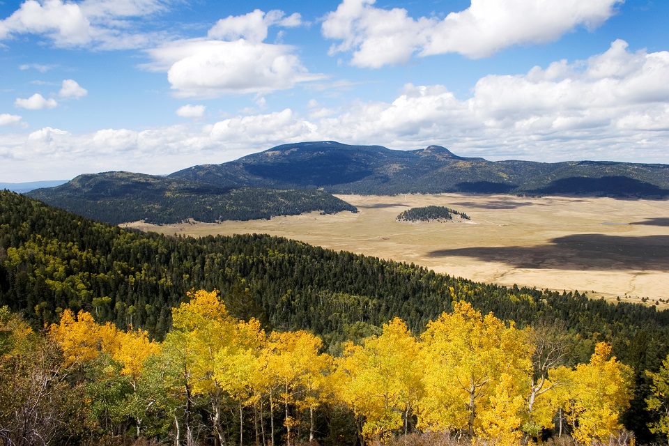 Jemez Springs: Valles Caldera National Preserve — Pet ...