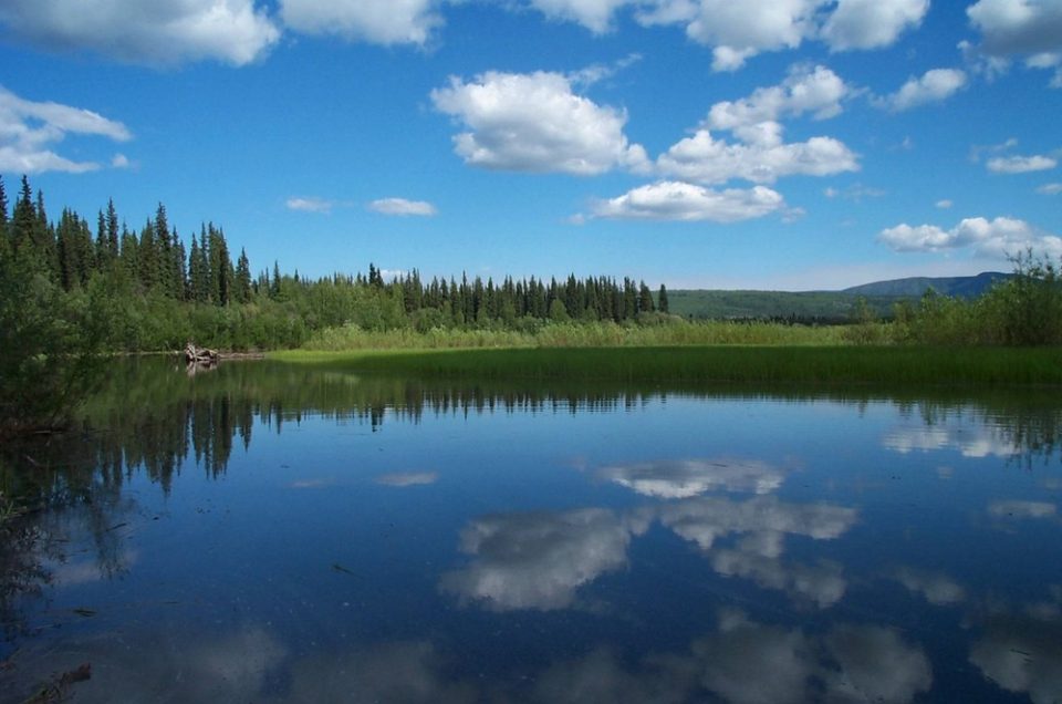 YukonCharley Rivers National Preserve Pet Policy Pet Friendly Travel