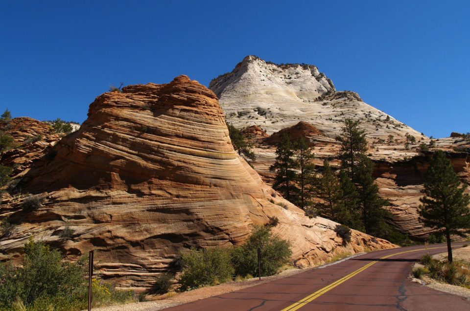 Zion National Park Pet Friendly Travel