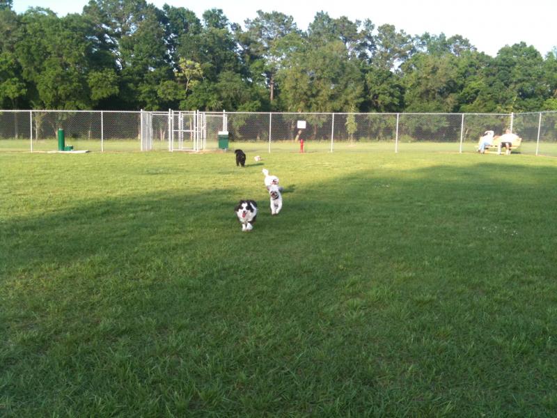 Daphne Dog Park – Daphne, AL