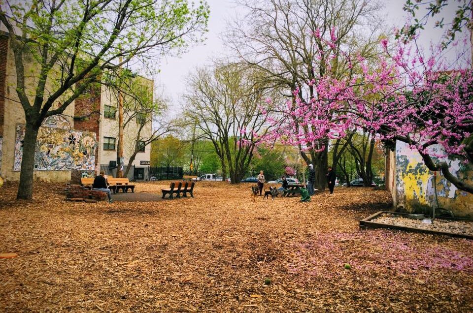 Orianna Hill Dog Park – Philadelphia, PA
