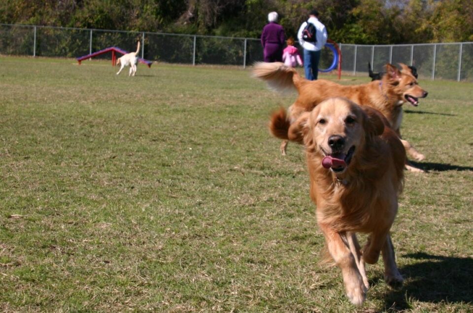 Fort Woof Dog Park – Forth Worth, TX