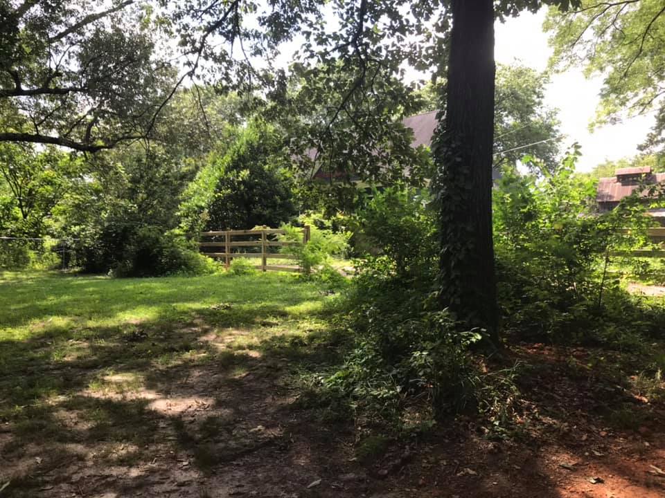 Atlanta OffLeash Dog Parks Pet Friendly Travel