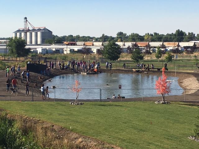 Nampa: Amity Dog Park
