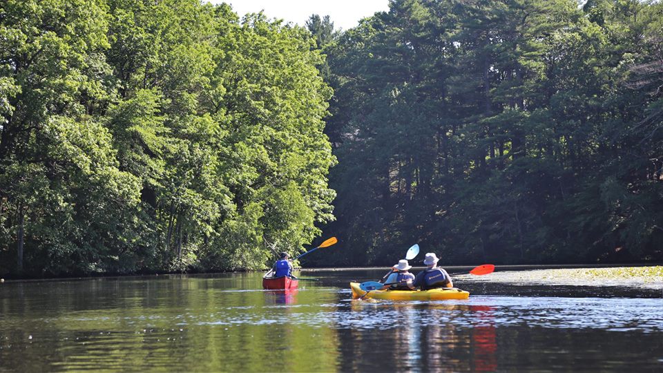 Boating in Boston Boat Rentals Pet Friendly Travel