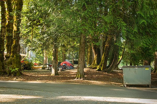 Shelton: Potlach State Park Campgrounds
