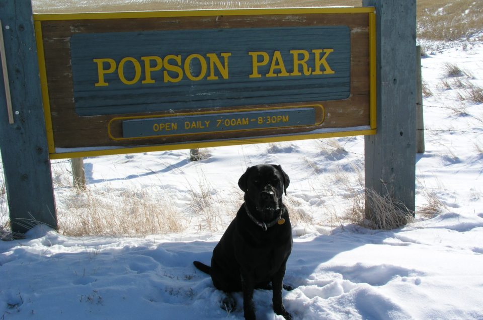 Lethbridge: Off-Leash Dog Parks