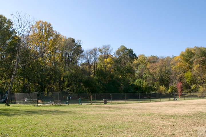 College Park: College Park Dog Park