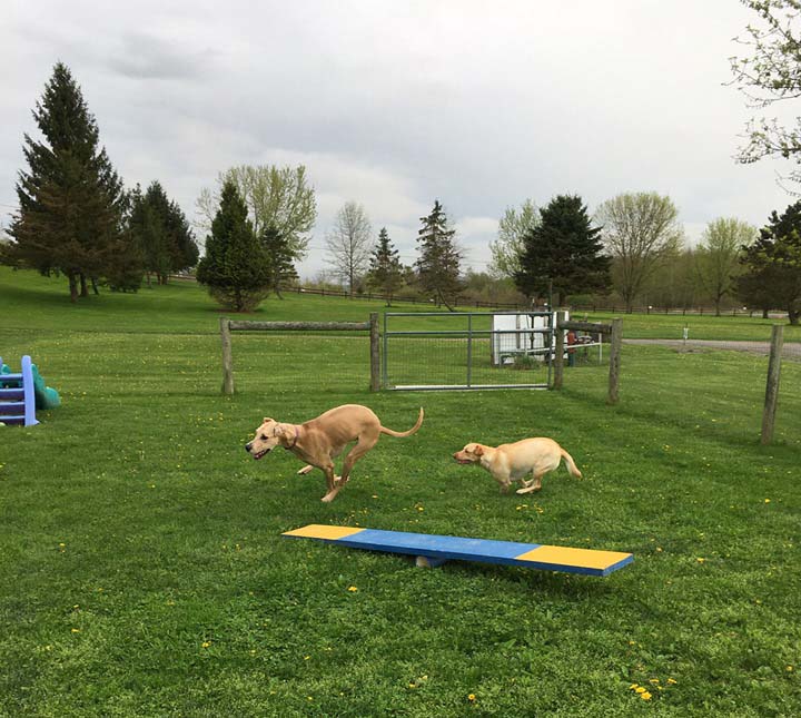 Conneaut Lake Conneaut Lake Bark Park Pet Friendly Travel