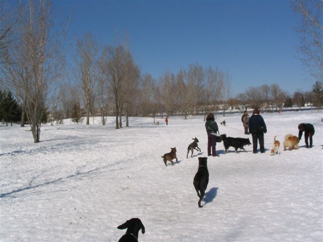 Belleville/Quinte Area: Off-Leash Areas