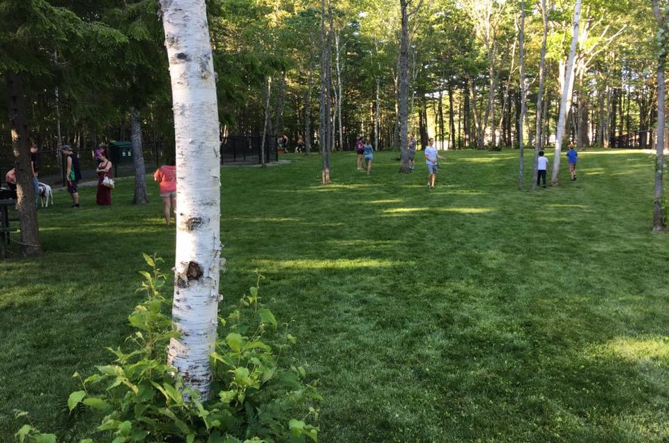 Bridgewater South Shore Vet Dog Zone Pet Friendly Travel