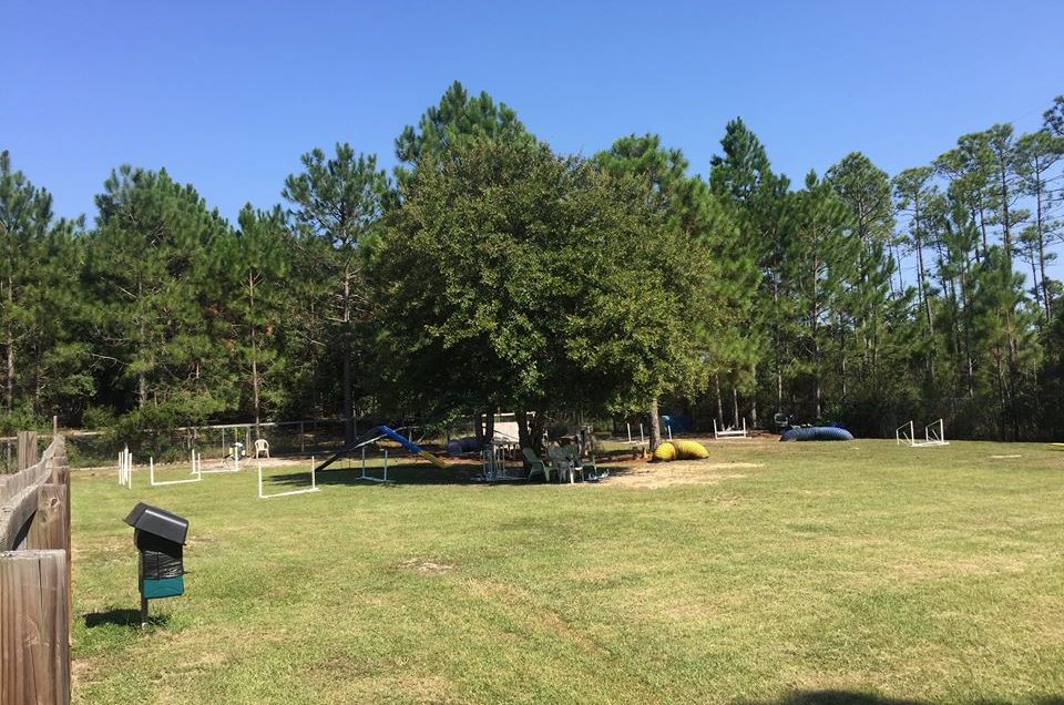 Santa Rosa Beach: Alaqua Unleashed Dog Park