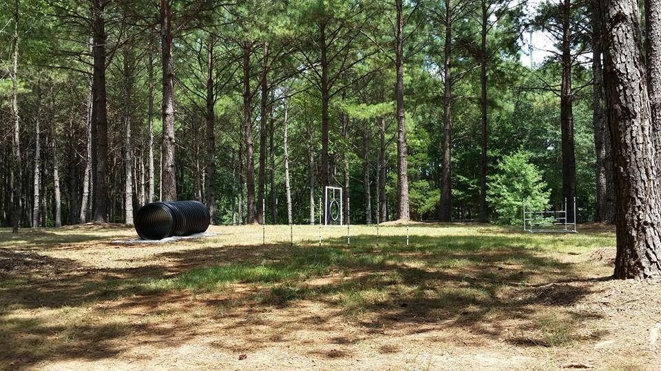 McDonough: Alexander Park Bark Park