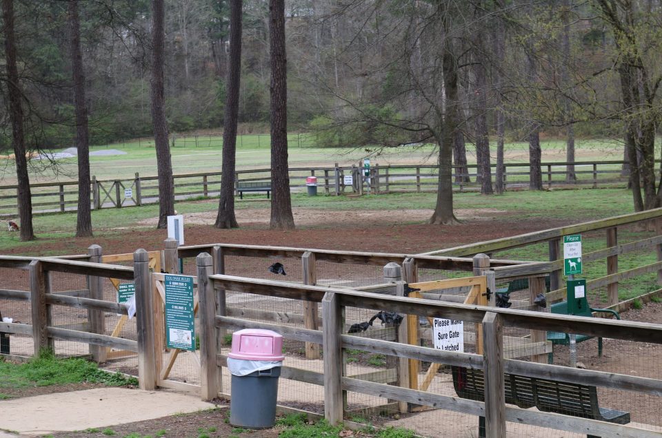 Hoover Dog Park at Loch Haven — Pet Friendly Travel