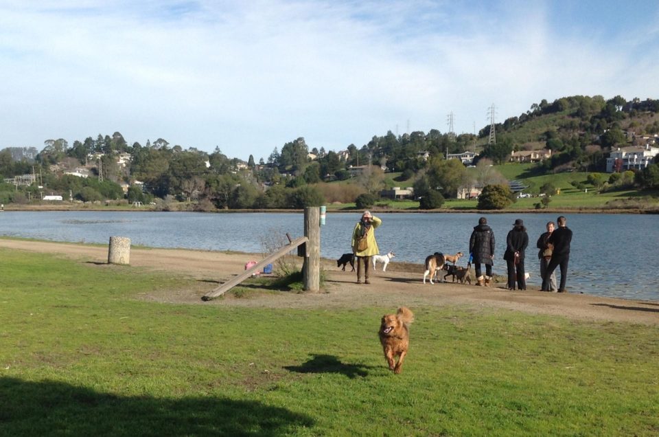 Mill Valley Dog Park