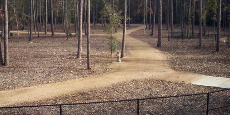 Tomball: Burroughs Dog Park