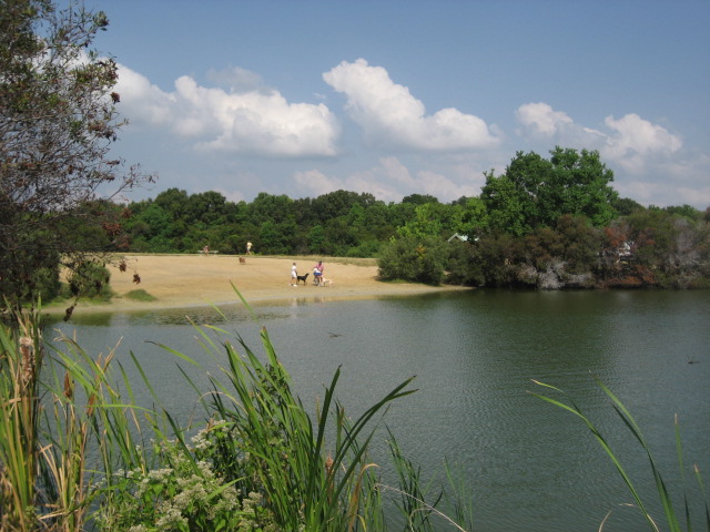 Charleston County Dog Parks