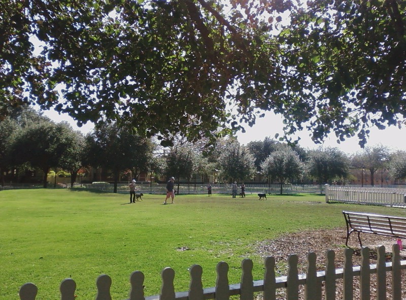 Dallas Dog Parks Pet Friendly Travel