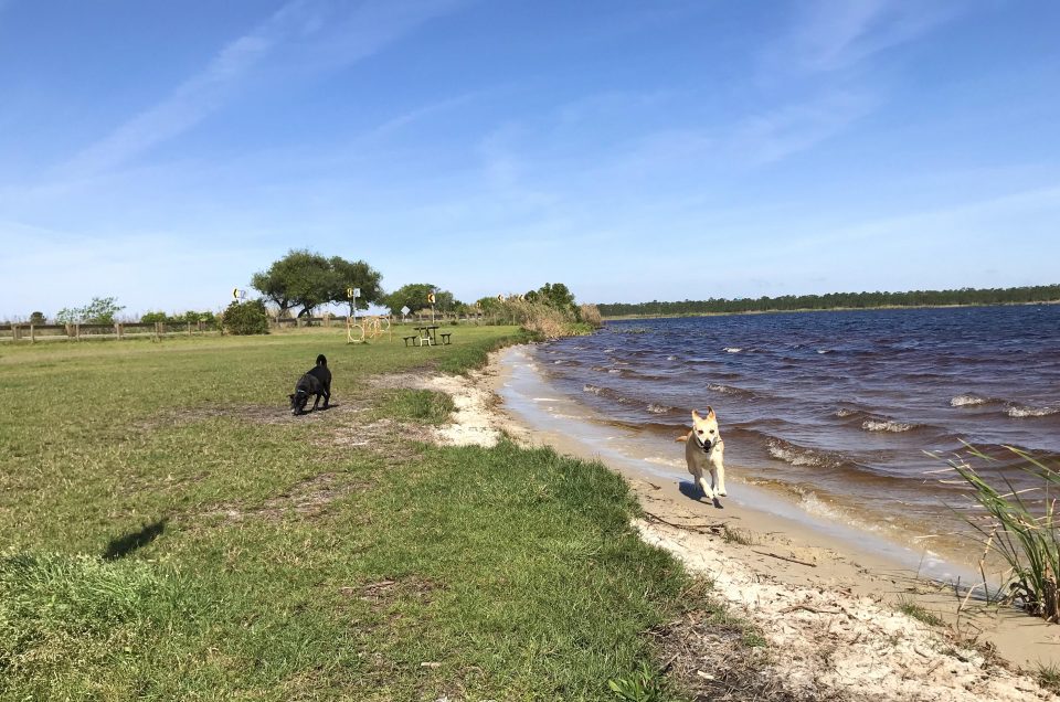 Dog Pond at Lake Shelby – Gulf Shores, AL