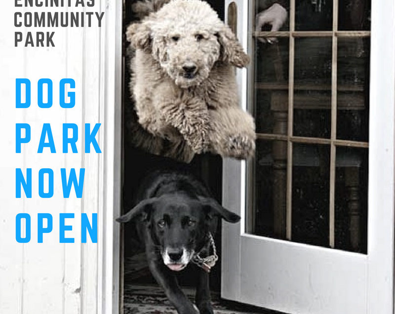 Encinitas Dog Parks – Encinitas, CA
