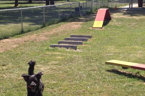 Wayne County: Hawthorne Ridge Dog Park