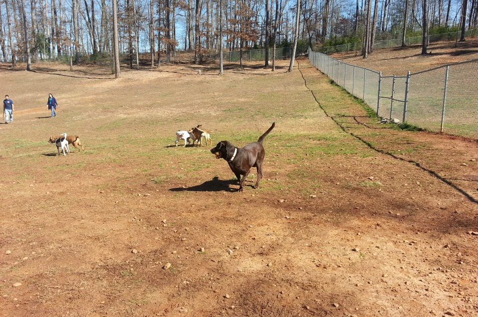 Gainesville: Laurel Bark Park