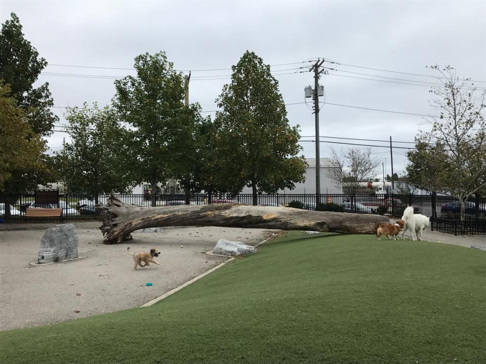 Baltimore Locust Point Dog Park Pet Friendly Travel