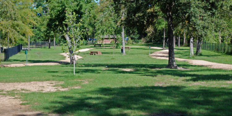 Spring: Meyer Dog Park