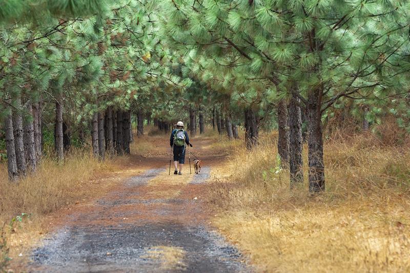 Salem Off-Leash Areas – Salem, OR