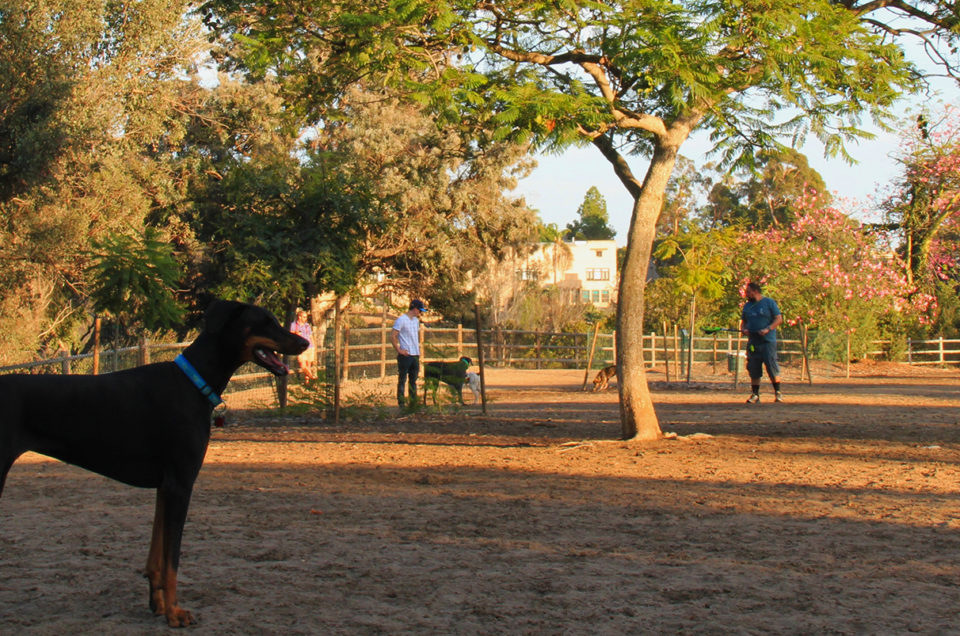 Nate’s Point Dog Park – San Diego, CA