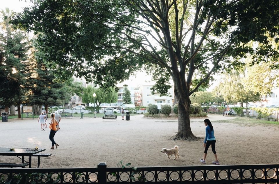 San Carlos Dog Parks