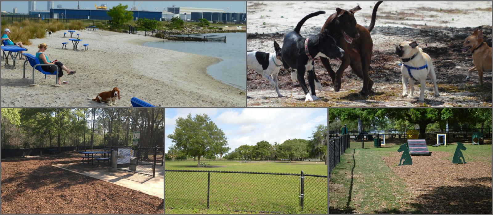 Tampa Dog Parks and LeashFree Areas Tampa, FL Pet Friendly Travel