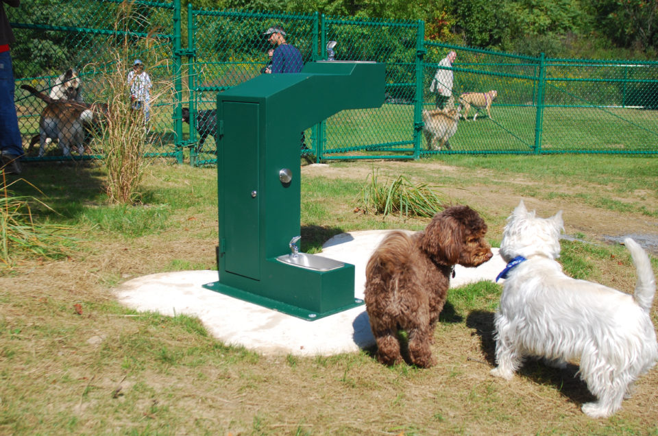 Dog Park at Thomas Bull Memorial Park – Campbell Hall, NY