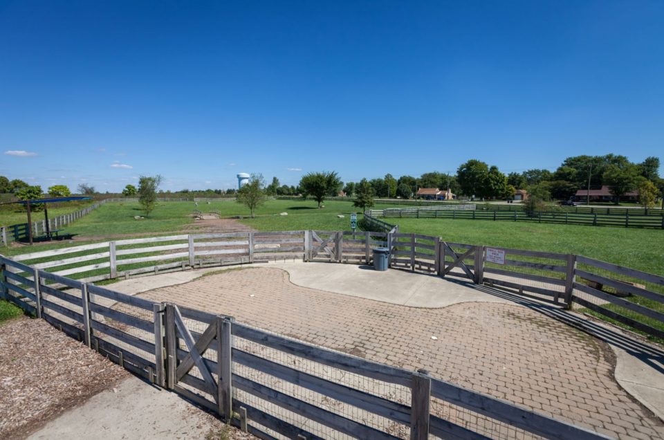 West Chester: Wiggly Field Dog Park