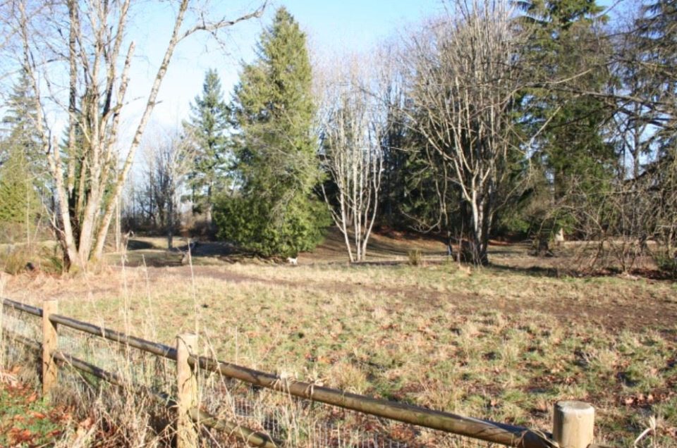 Snohomish: Willis D. Tucker Park Dog Park