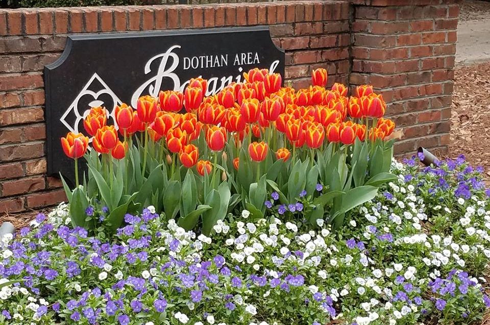 Dothan Dothan Area Botanical Gardens Pet Friendly Travel