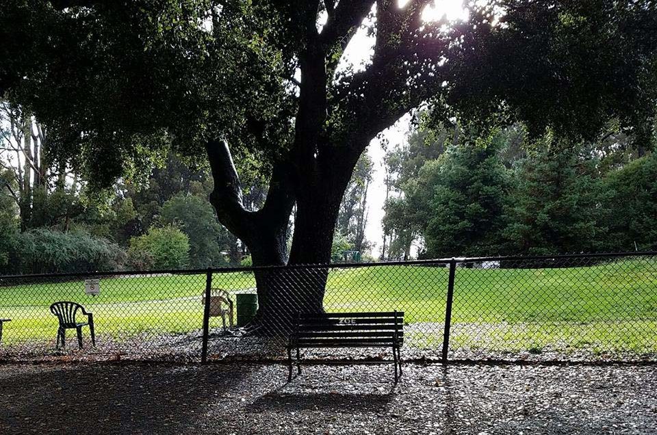 Earl Warren Dog Park – Castro Valley, CA
