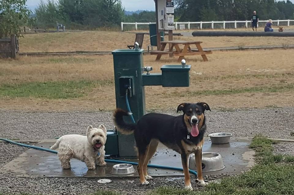SeaTac: Grandview Off-Leash Dog Park
