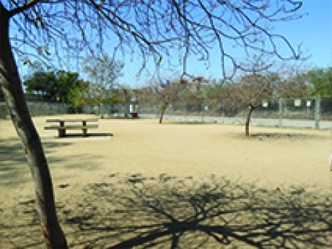 Griffith Park Dog Park – Los Angeles, CA
