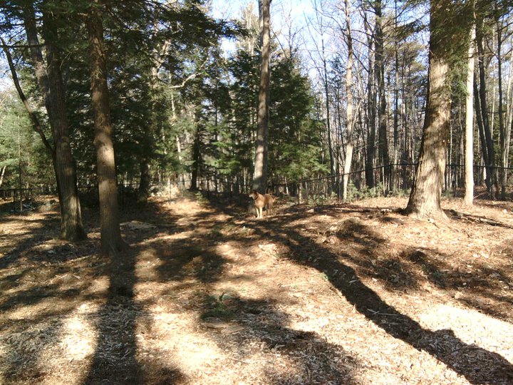 Ogunquit: Ogunguit Dog Park
