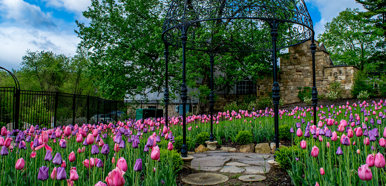 Oakdale Pittsburgh Botanic Garden — Pet Friendly Travel