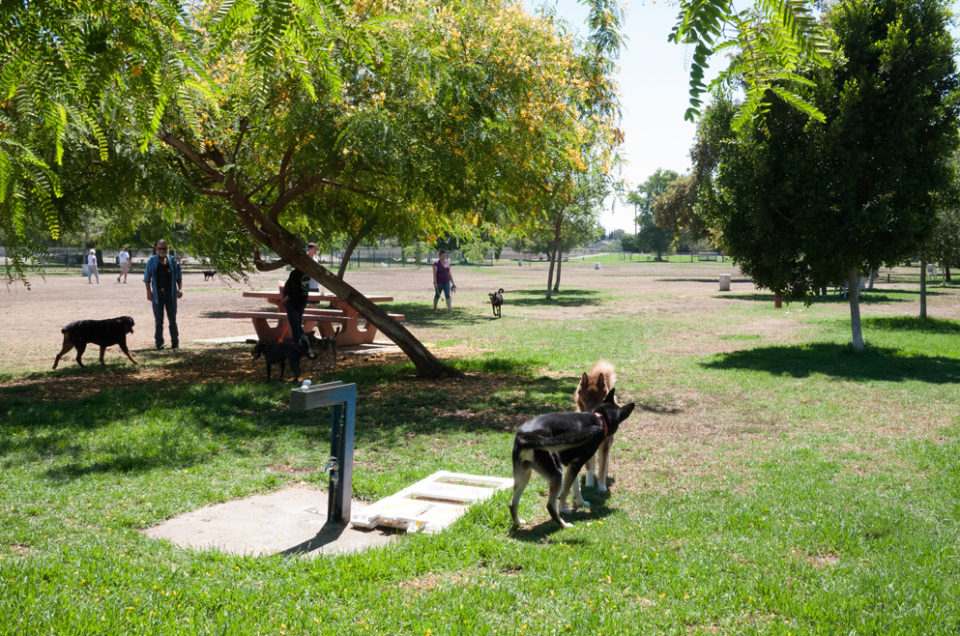 Sepulveda Basin Off-Leash Dog Park – Encino, CA